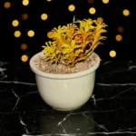 Miniature Faux-Flora Planter - Image 2