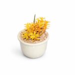Miniature Faux-Flora Planter - Image 3