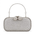 Silver Mesh Clutch