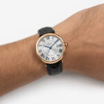 The Heritage Watch - Image 7