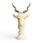 The Noble Markhor