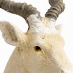 The Noble Markhor - Image 5