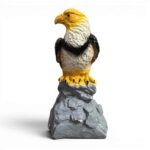 The Watchful Eagle - Image 6