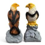 The Watchful Eagle