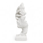 The Veiled Face - Image 4
