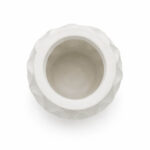 The Ivory Hive - Image 4