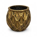 The Gilded Hive - Image 2