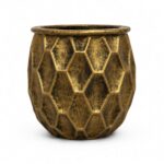 The Gilded Hive - Image 3
