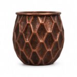 The Ember Hive
